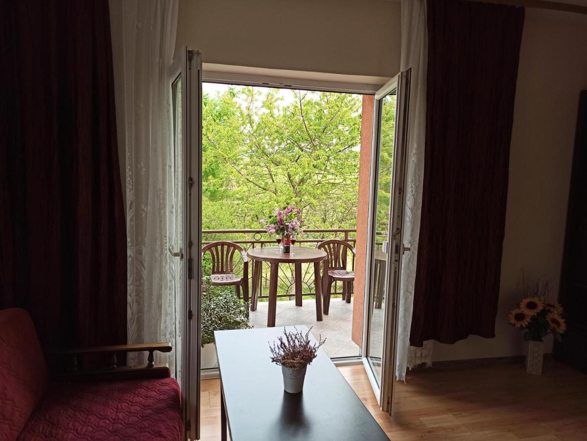 Apartament-studio, U Lucy Rabka