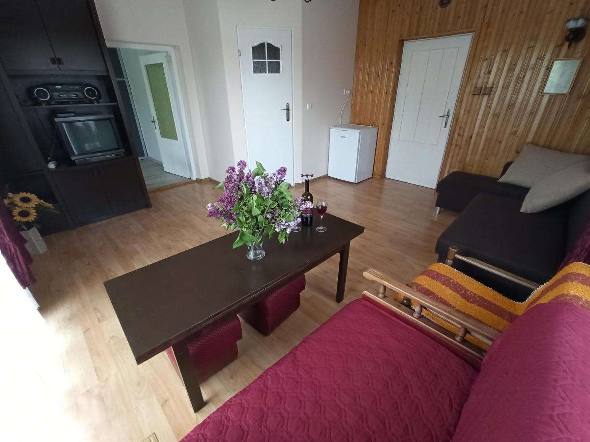 Apartament-studio, U Lucy Rabka